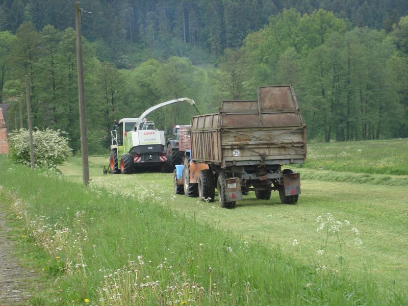 Fortschritt ZT 303 - D 03.jpg